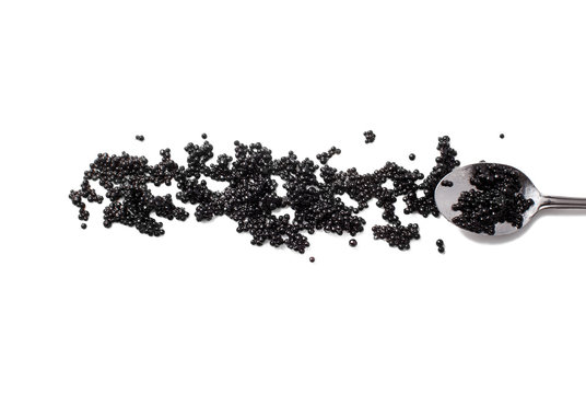 black caviar and spoon isolated on white background. the eggs of caviar scattered on the surface. flat lay, top view