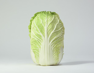 Napa Cabbage - A single green and white Napa Cabbage standing on end with a simple background of light gray - 102072316