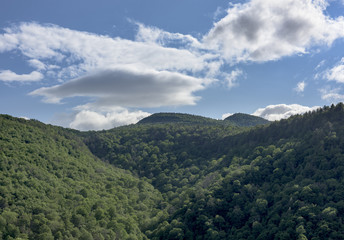 Katterskill Clove and Mountains of New York - Summer view through the Kaaterskill Clove in the Catskill Mountains of New York, with Indian Head Mountain in the background
