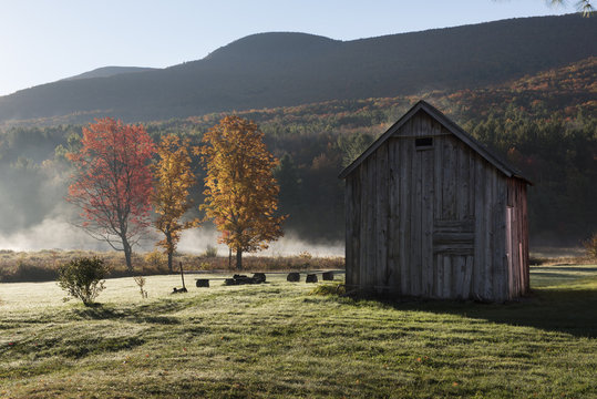 Catskill Mountain Barn with Autumn Trees - Sunrise in the northern Catkill Mountains, with brighly lit autumn trees and old wood barn with Black Dome Mountain in the background