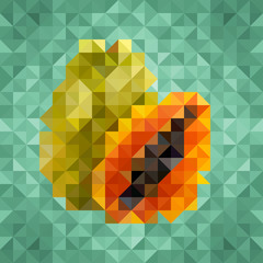 Triangle low poly papaya icon