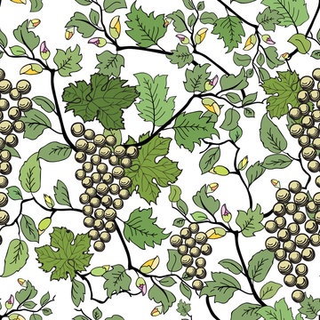 Floral seamless background with grape branch. Decorative flower