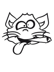 crazy fun party drug funny face head pothead weed joint smoking smoken hemp cannabis cat