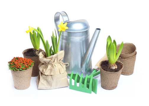 Garden Spring Summer Tools isolated white background
