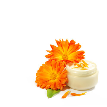 K&ouml;rperpflege, Wellness, Ringelblumensalbe mit Ringelblumen, isoliert, Freisteller, auf weiss, Copyspace, Quadrat