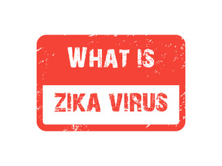 What is Zika Virus Rubber Stamp - 102077707