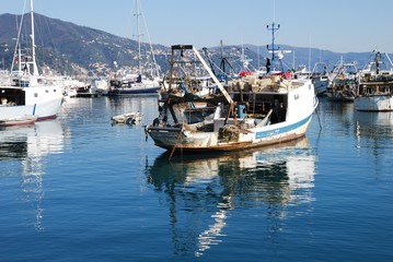 fishing boat in the harbor