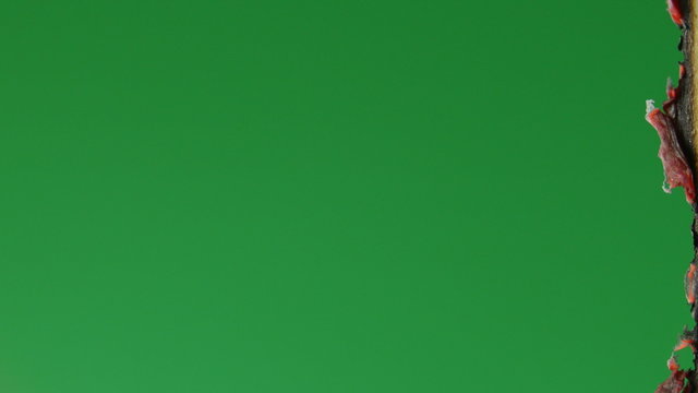 Paper was a fire burning. Greenscreen.
