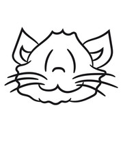 face head happy sweet cute kitten fluffy fur