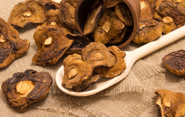 Dried mushrooms on canvas