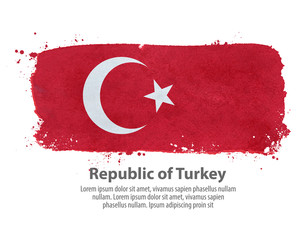 flag of Turkey. vector illustration