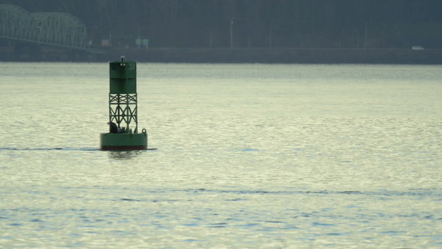Sea Lion on a buoy in the morning on the left of the frame in the Columbia river near Astoria. The end of the Astoria–Megler Bridge on the Washington side is visible in the background.