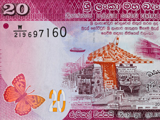 Sri Lankan currency 20 rupee banknote macro,butterfly, 2010 series,  money closeup