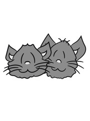 face head 2 brothers buddies team liebespaar sweet cute kitten fluffy fur