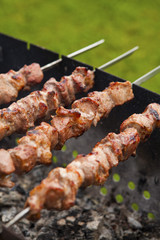 Pork shashlyk (shish kebab) roasting on skewers in the garden
