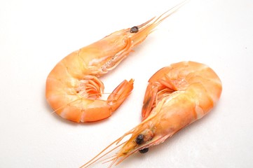 Tropical shrimp