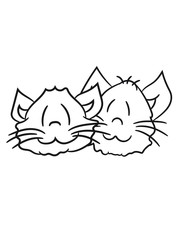 face head 2 brothers buddies team liebespaar sweet cute kitten fluffy fur
