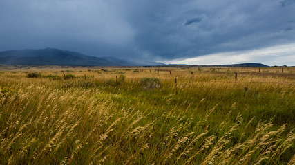 Wide open range in Alamosa County, Colorado