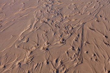Great Sand Dunes National Park, Summer 2015