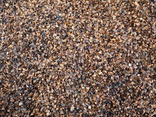 Full frame of  buckwheat husks for pillow