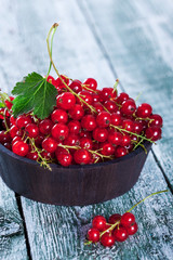 Seashell on caribbean sandy beach