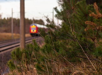 Regionalbahn am Wald