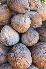 A bunch of  dried coconuts