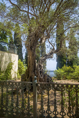 Garden of Achilleion, Corfu, Greece