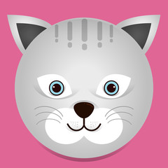 a cute cat illustration