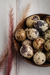 Obraz premium Quail Eggs