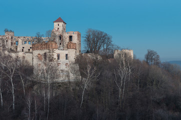 Fototapeta na wymiar Ruins of medieval castle Teczyn in Rudno, Poland, in the evening