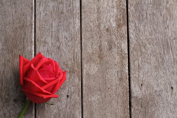 Valentine' s day background with rose on wooden.