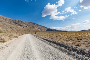 Fototapeta na wymiar Nature along the street to Racetrack, Death Valley National Park