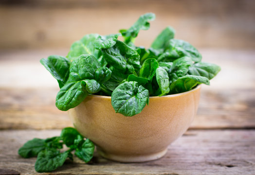 Fresh spinach in the bowl