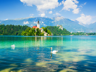 Lake Bled with swan, Slovenia, Europe - obrazy, fototapety, plakaty