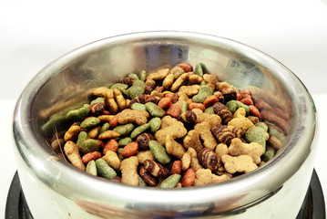 Dog food
