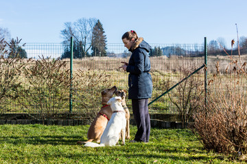 Woman instructing dogs outside