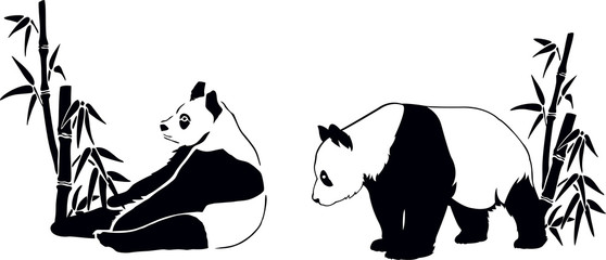 Fototapety  panda z bambusem