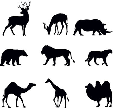 set animal silhouette