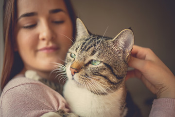 Pets Care.Young woman holding cat home.Cute cat watching and looking on woman's arm in home.Friendship.Love