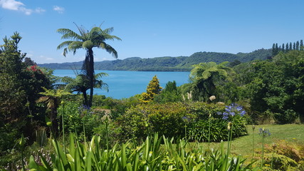Magnificent views of the lake Tarawera, Rotorua, New Zealand, summer sunny day