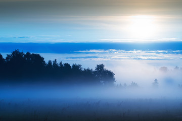 Picturesque misty sunrise landscape. Foggy morning meadow,