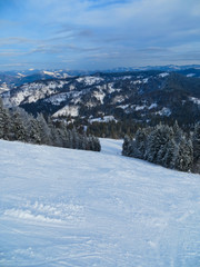 Fototapeta na wymiar Winter in Carpathian mountains