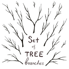Vector set of tree branches, trunk, twig, stem. Hand-drawing eco design for frames, decoration, greeting, invitation cards, postcards.