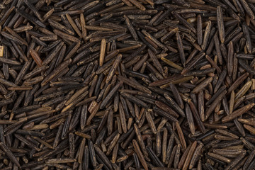 Background of black wild rice