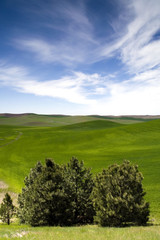 Farmland Iconic Scene Clouds Green Hills Blue Sky