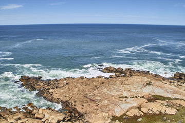 Seelöwen am Cabo Polonio