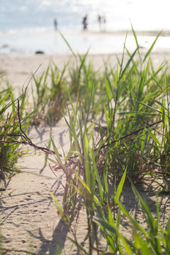 Urlaub am Elbstrand