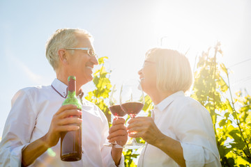 Senioren Paar stößt mit Wein an im Sommer Gegenlicht, Mann und Frau prosten sich zu