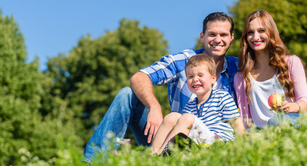 Fototapeta premium Familie auf der Wiese spielt mit Seifenblasen